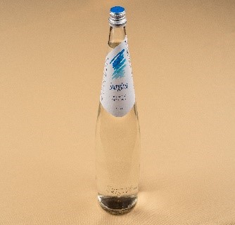 Surgiva 500 ML